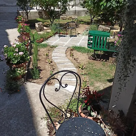 Jujube Hortus 4 Palermo