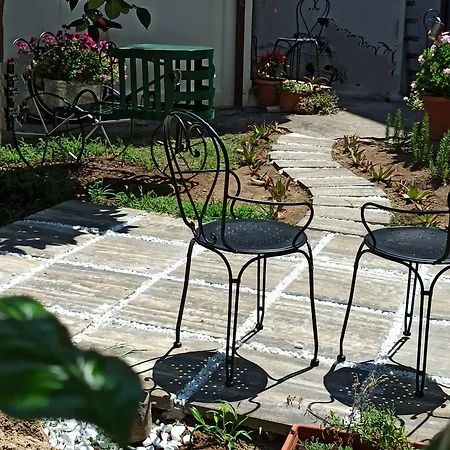 Jujube Hortus 4 *